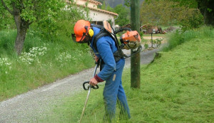 Photo de galerie - Espace vert 