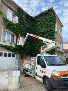 Photo de galerie - Taille de haies et d'arbustes