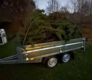 Photo de galerie - évacuation déchet vert 