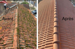 Photo de galerie - Couverture - Toiture