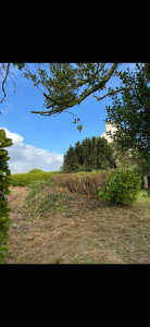 Photo de galerie - Rabattage de haie 