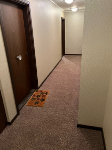 Photo de galerie - Nettoyage de tapis et moquette à domicile avec machine karcher professionnelle. J’élimine les taches, la poussière et les mauvaises odeurs pour redonner à vos tapis une seconde jeunesse. Service rapide, soigné et efficace.