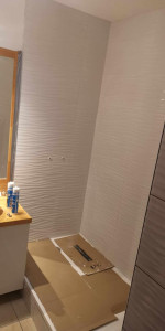 Photo de galerie - Transformation baignoire en douche avec pose d’un bac de douche sur pieds et faïence murale.