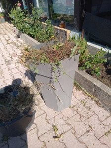 Photo de galerie - Desherbage