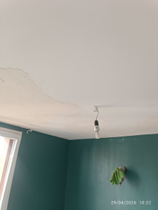 Photo de galerie - Peinture - Tapisserie