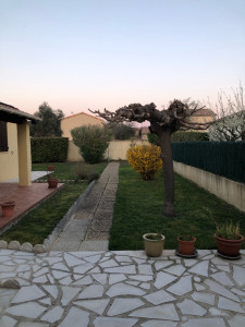 Photo de galerie - Elagage et coupe d'arbres