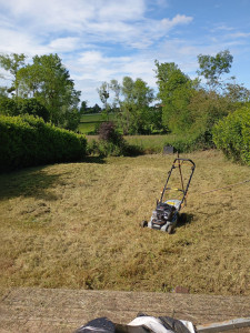 Photo de galerie - Tonte de pelouse - Débroussaillage