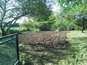 Photo de galerie - Jardin après débrousaillage et passage du motoculteur