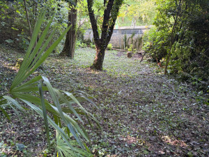 Photo de galerie - Débroussaillage terrain en pente après des années de friche
