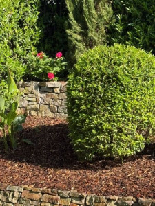 Photo de galerie - Taillage arbuste et plat de bande de jardin  en copeaux  de bois 