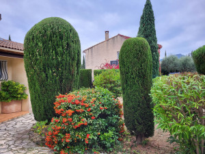 Photo de galerie - Taille d'arbustes. 