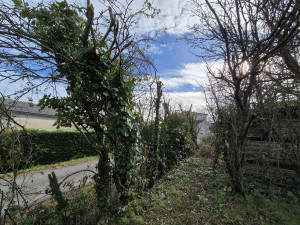 Photo de galerie - Après 