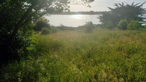 Photo de galerie - Avant