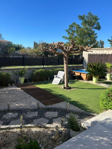 Photo de galerie - Elagage et coupe d'arbres