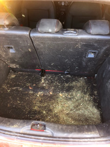 Photo de galerie - Lavage auto