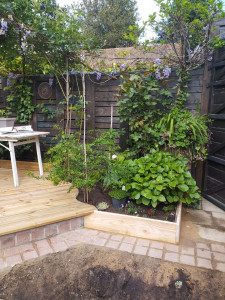 Photo de galerie - .