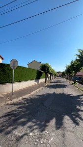 Photo de galerie - ´