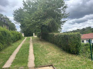 Photo de galerie - Taille de haies et d'arbustes