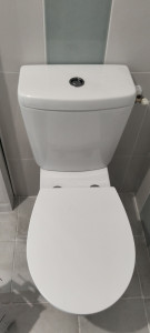 Photo de galerie - Pose toilette 