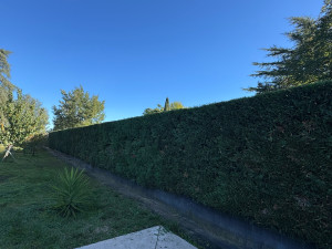 Photo de galerie - Taille d’une très grande haie (+200m)