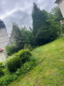 Photo de galerie - Petit Sapin qui devenait dangereux pour l'église situé derrière 