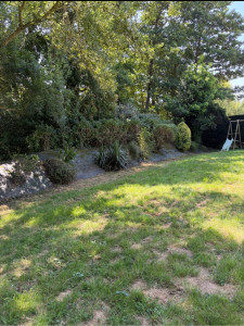 Photo de galerie - Nettoyage et taille d’un massifs ( Photo après )