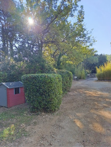Photo de galerie - Jardinier