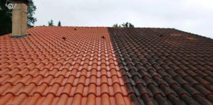 Photo de galerie - Demoussage 