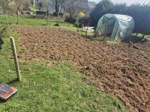 Photo de galerie - Paysagiste - Aménagement du jardin