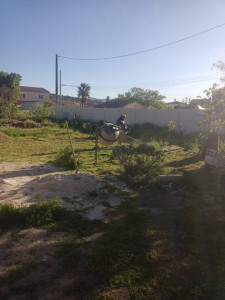 Photo de galerie - Tonte de pelouse - Débroussaillage