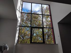 Photo de galerie - Nettoyage vitreries en hauteur 