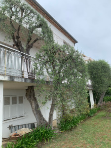 Photo de galerie - Jardinier