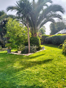 Photo de galerie - Entretien de jardin 