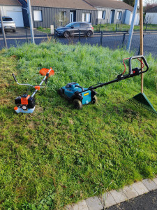 Photo de galerie - Avant le débroussaillage et la 