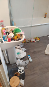 Photo de galerie - Ménage