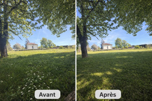 Photo de galerie - Tonte de pelouse chez un client avant après