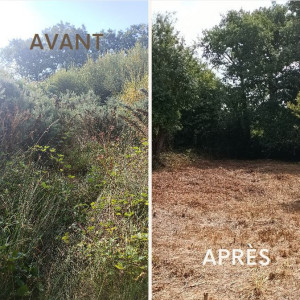 Photo de galerie - Nettoyage d'un terrain de 1300 m² a crac'h 