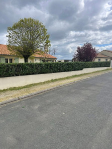 Photo de galerie - Taille de haie