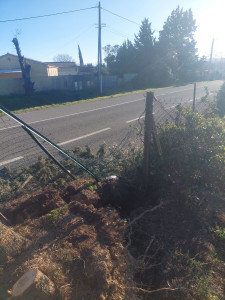 Photo de galerie - Clôture Grillage