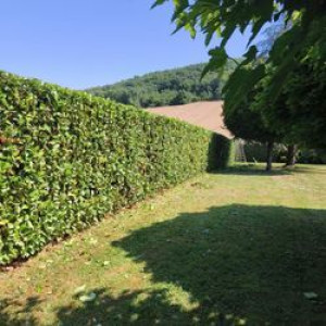 Photo de galerie - Clien très content