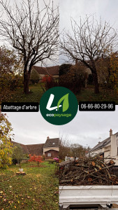 Photo de galerie - ? Abattage d’un cerisier  Intervention du jour : abattage d’un cerisier devenu trop fragile et dangereux. Travail propre, sécurisé et réalisé dans le respect du jardin.  Pour tout besoin d’élagage, abattage ou l’entretien de vos arbres. 