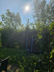 Photo de galerie - Paysagiste - Aménagement du jardin