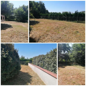 Photo de galerie - Tonte de pelouse - Débroussaillage