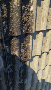 Photo de galerie - Couverture - Toiture