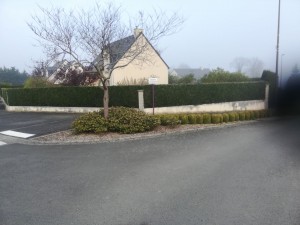 Photo de galerie - Taille de haies et d'arbustes