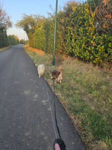 Photo de galerie - Promenade 