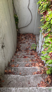 Photo de galerie - Jardinier