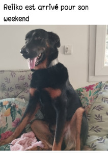 Photo de galerie - Reiiko