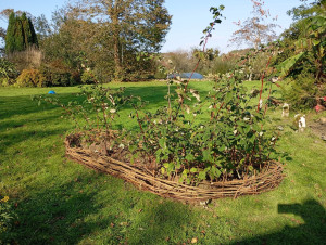 Photo de galerie - Bordure en plaissage de noisetier 