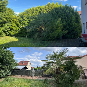 Photo de galerie - Avant / Après 